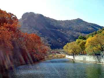 新澳门二四六天天彩，深圳流水线